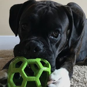 Meet your Posher, Kevin